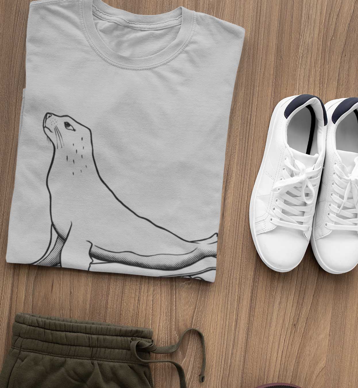 animals_seal_zinc_1